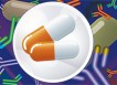 ELITE™ Custom Antibody Services for Drug Discovery